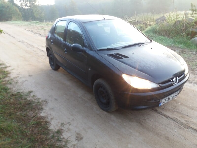 Nuotrauka 12 - Peugeot 206 2000 m dalys