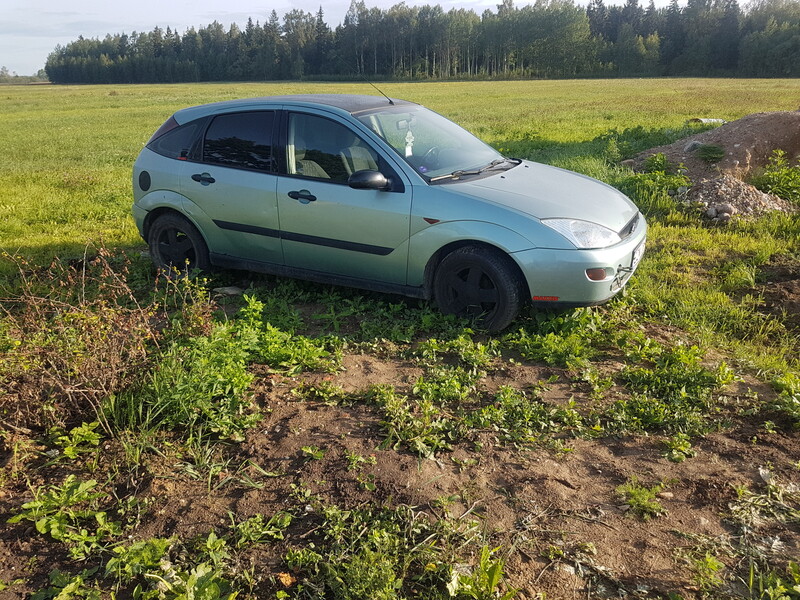 Nuotrauka 2 - Ford Focus 2000 m dalys
