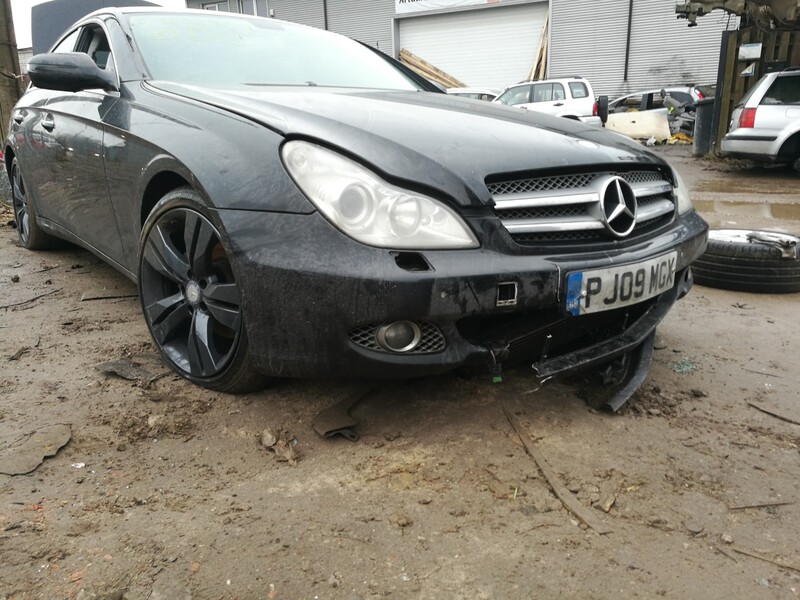 Nuotrauka 2 - Mercedes-Benz Cls 320 Cdi 2009 m dalys