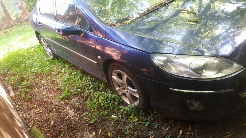Nuotrauka 1 - Peugeot 407 2.0HDi RHR melyna 2005 m dalys