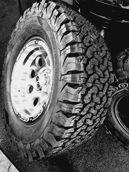 Gepard Bfg Ko2raštas R17 universal tyres passanger car