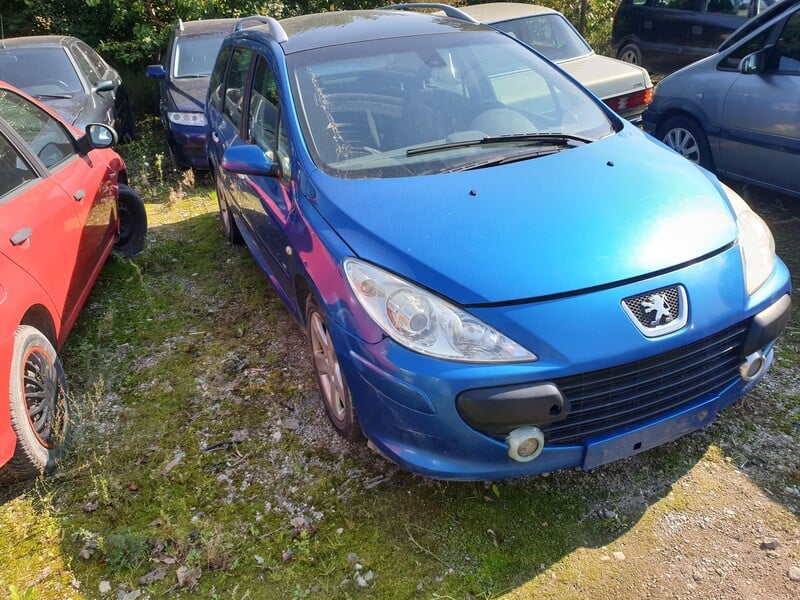 Nuotrauka 1 - Peugeot 307 2005 m dalys