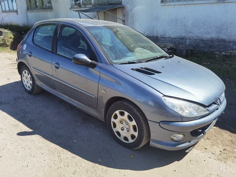 Peugeot 206 2007 m dalys