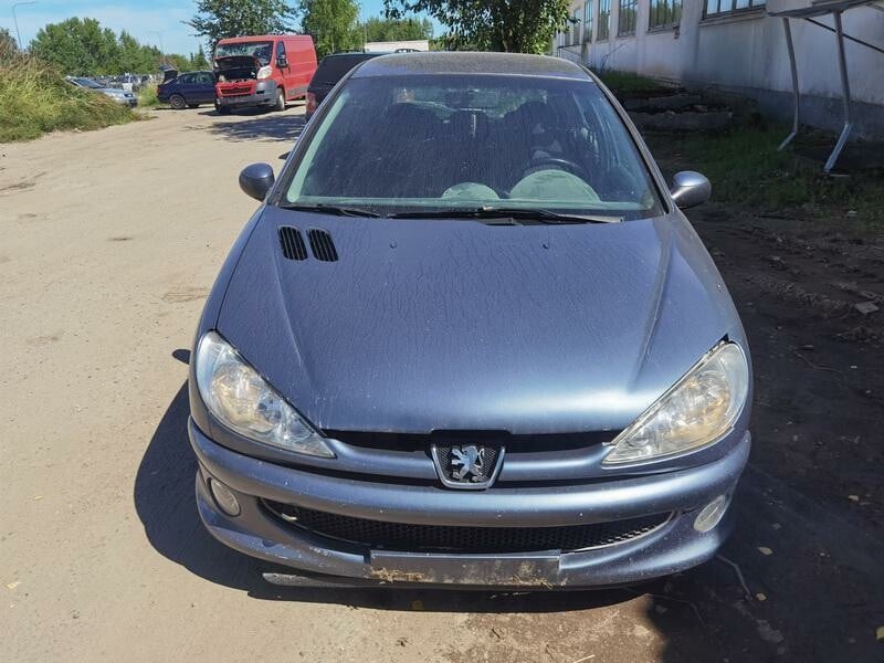 Nuotrauka 2 - Peugeot 206 2007 m dalys