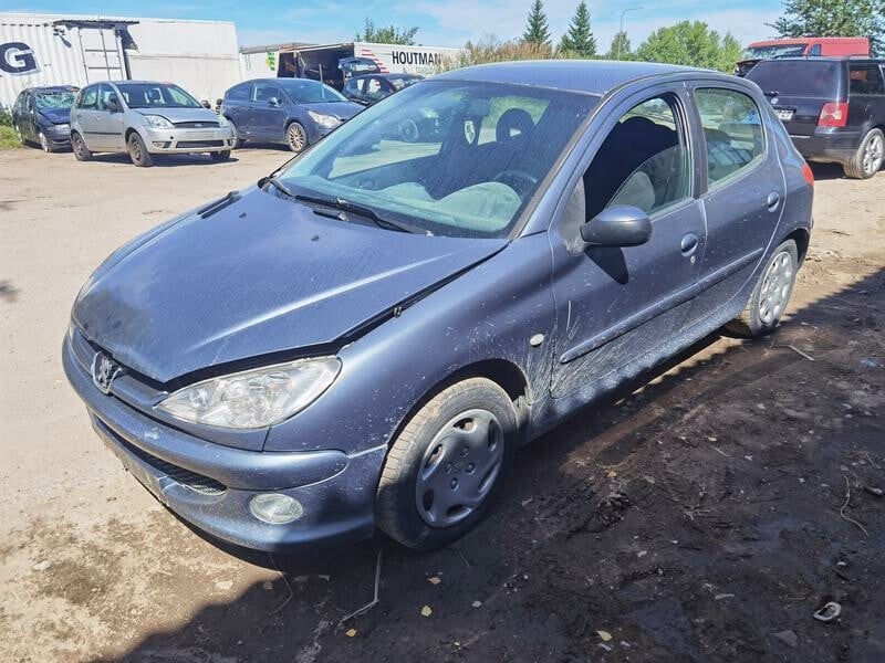 Nuotrauka 3 - Peugeot 206 2007 m dalys