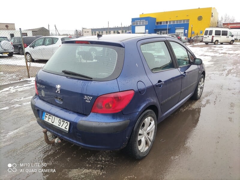 Nuotrauka 6 - Peugeot 307 2002 m dalys