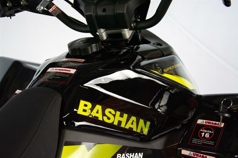 Nuotrauka 15 - Bashan BS250s-11b 2023 m Keturratis motociklas