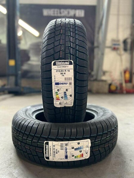 Gislaved Euro*Frost 6 R16 winter tyres passanger car