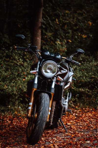 Nuotrauka 4 - Honda Hornet 2002 m Klasikinis / Streetbike motociklas