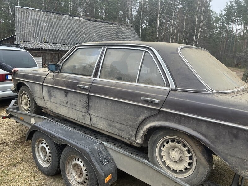 Nuotrauka 1 - Mercedes-Benz W123 1981 m dalys