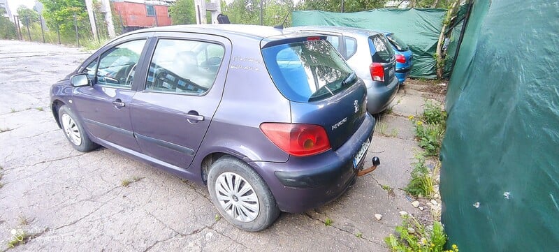 Nuotrauka 3 - Peugeot 307 2003 m dalys