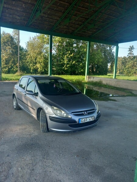 Nuotrauka 1 - Peugeot 307 2003 m Hečbekas