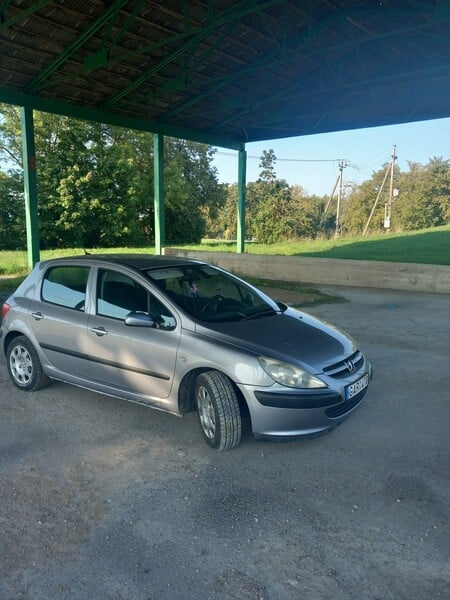 Nuotrauka 3 - Peugeot 307 2003 m Hečbekas