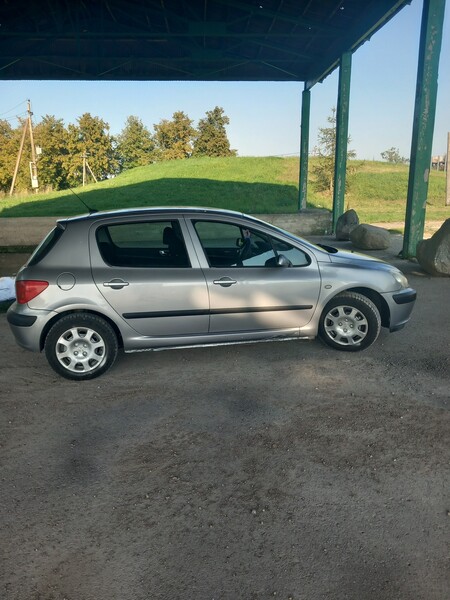 Nuotrauka 4 - Peugeot 307 2003 m Hečbekas