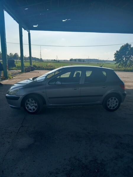 Nuotrauka 13 - Peugeot 307 2003 m Hečbekas