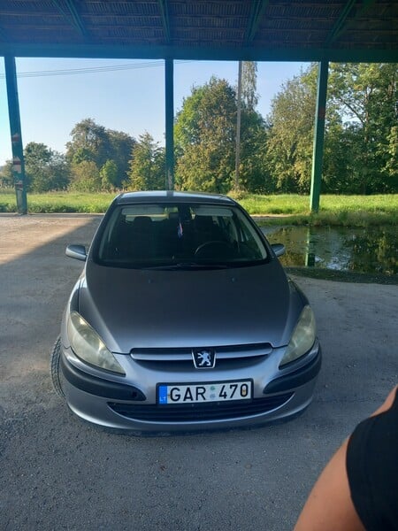 Nuotrauka 14 - Peugeot 307 2003 m Hečbekas