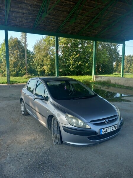 Nuotrauka 15 - Peugeot 307 2003 m Hečbekas