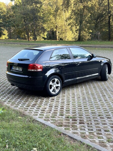 Nuotrauka 5 - Audi A3 8P 2003 m