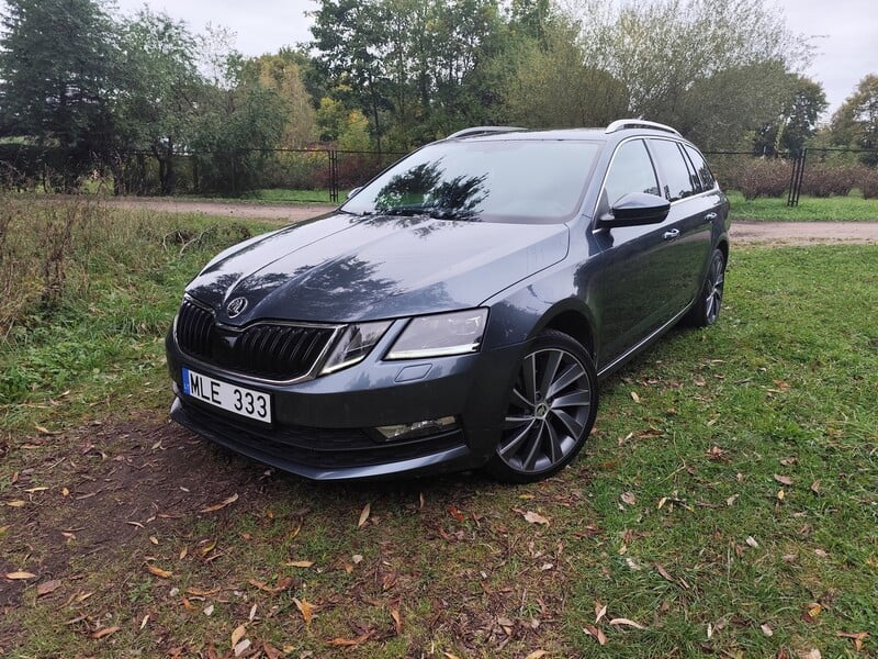 Nuotrauka 1 - Skoda Octavia 2019 m Hečbekas