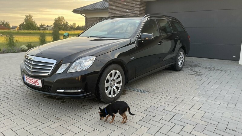 Photo 28 - Mercedes-Benz E 220 Blue Efficiency 2010 y