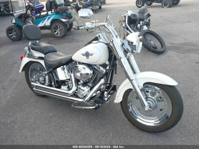 Harley-Davidson FLSTF 2005 y Chopper / Cruiser / Custom motorcycle