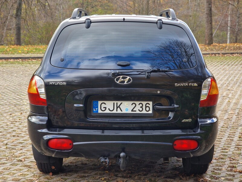 Nuotrauka 8 - Hyundai Santa Fe I 2004 m