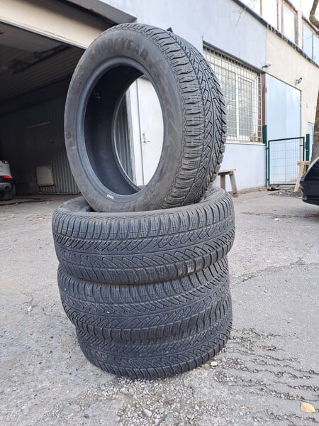 Goodyear R17 зимние шины для автомобилей