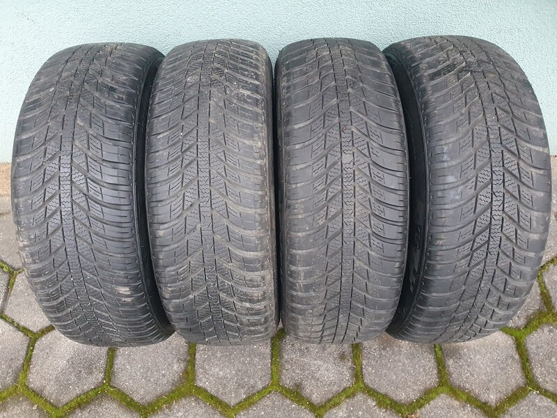 Nexen Nblue 4Season R15 universal tyres passanger car