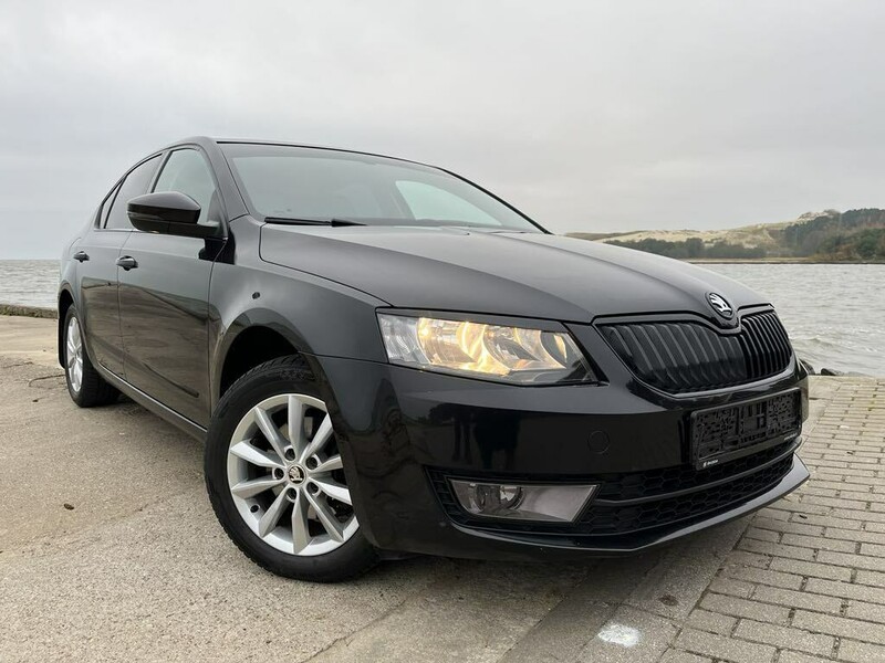 Photo 17 - Skoda Octavia III TDI 2016 y