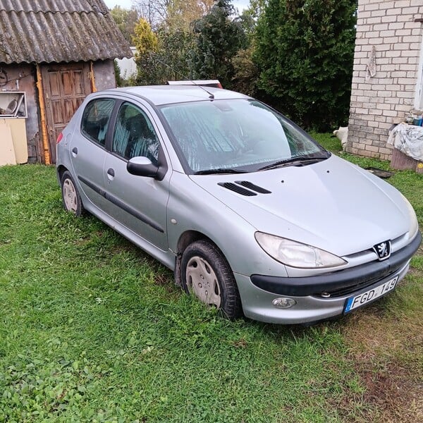 Peugeot 206 2001 m Hečbekas