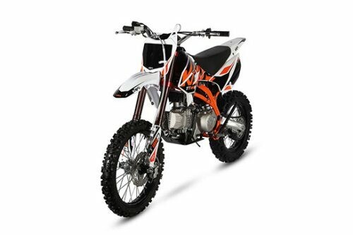 Nuotrauka 4 - Kayo TT190R 2025 m Krosinis / Supermoto motociklas