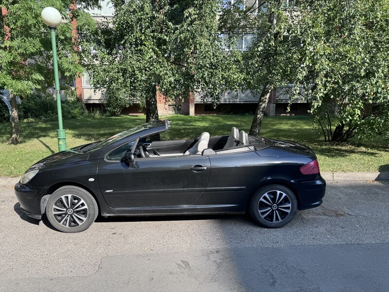 Photo 13 - Peugeot 307 CC 2005 y Convertible