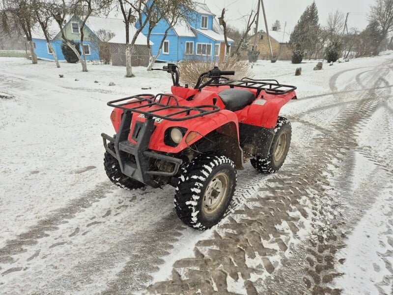 Nuotrauka 16 - Yamaha Grizzly 2015 m Keturratis motociklas