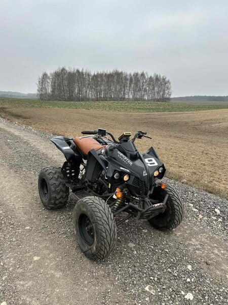 Nuotrauka 4 - ATV 250cc 2010 m Keturratis motociklas