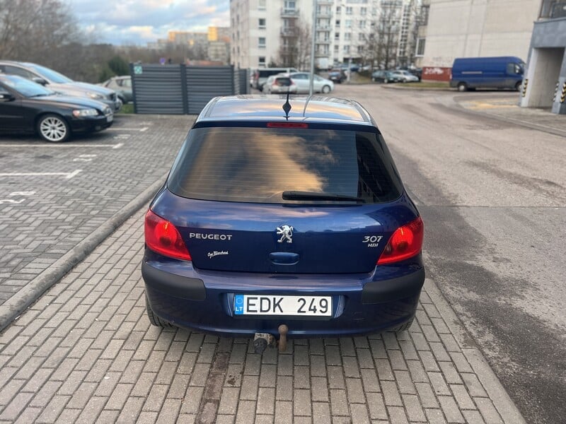 Nuotrauka 8 - Peugeot 307 2002 m Hečbekas