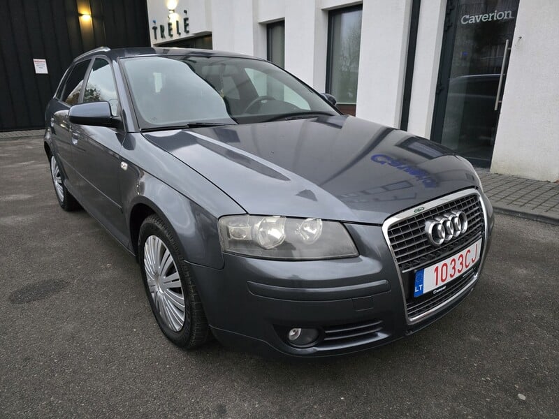 Nuotrauka 11 - Audi A3 2007 m Hečbekas