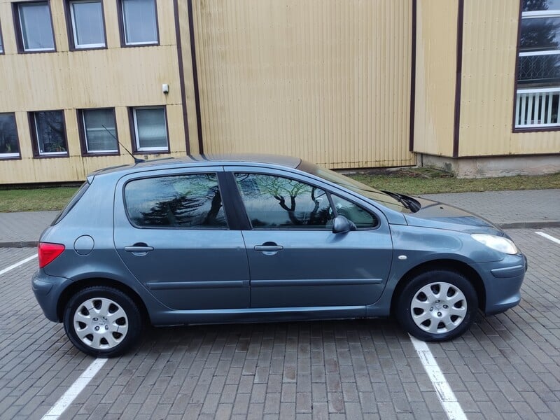 Photo 8 - Peugeot 307 2006 y Hatchback