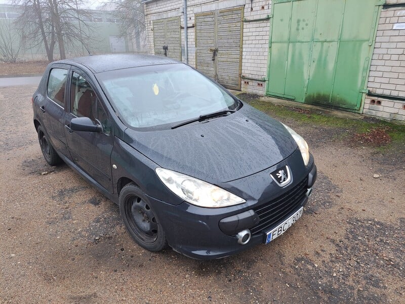 Photo 22 - Peugeot 307 Hdi 2006 y