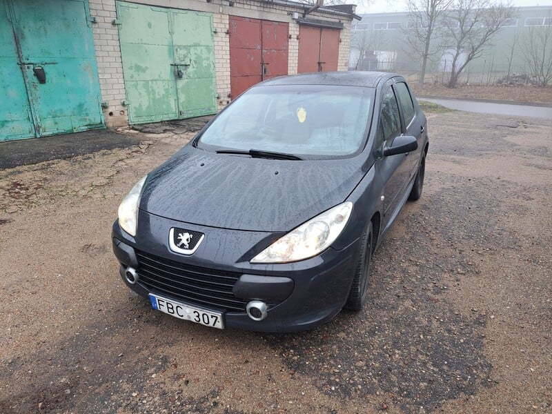 Photo 24 - Peugeot 307 Hdi 2006 y