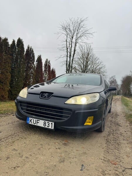 Photo 2 - Peugeot 407 2006 y Sedan