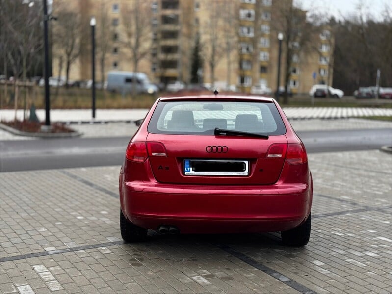 Nuotrauka 6 - Audi A3 2008 m Hečbekas