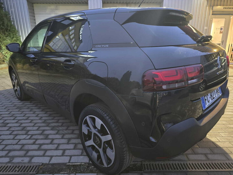 Photo 8 - Citroen C4 Cactus 2018 y Off-road / Crossover