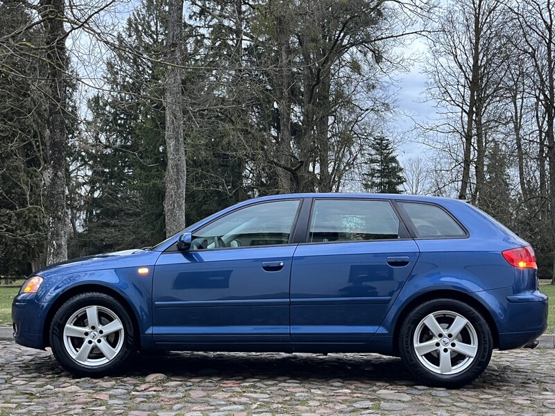 Nuotrauka 4 - Audi A3 2005 m Hečbekas