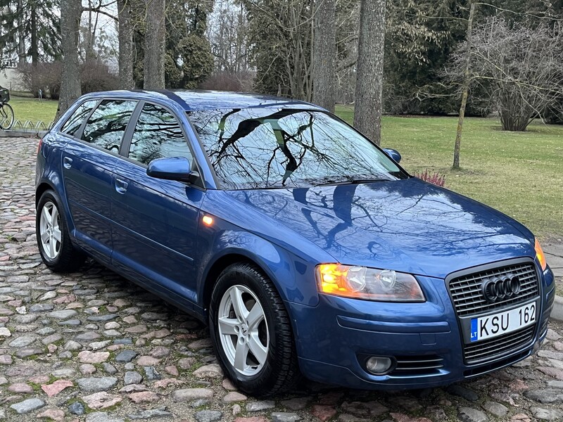 Nuotrauka 12 - Audi A3 2005 m Hečbekas