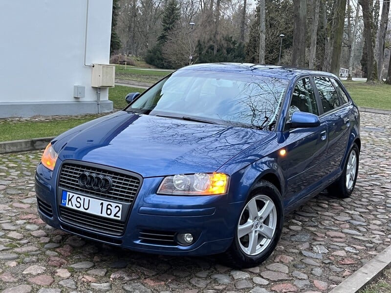 Nuotrauka 13 - Audi A3 2005 m Hečbekas