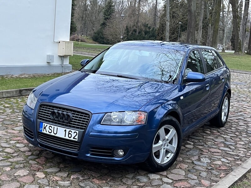 Nuotrauka 16 - Audi A3 2005 m Hečbekas