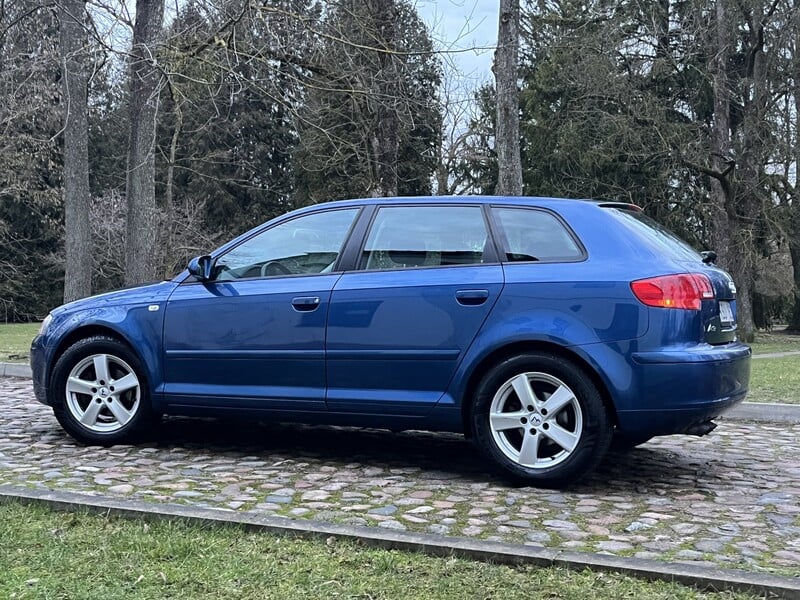 Nuotrauka 24 - Audi A3 2005 m Hečbekas