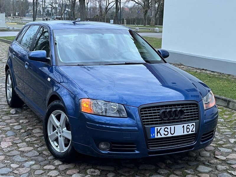 Nuotrauka 25 - Audi A3 2005 m Hečbekas