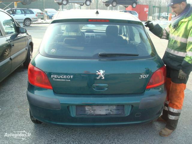 Nuotrauka 3 - Peugeot 307 I 1.4 1.6 16V 2004 m dalys