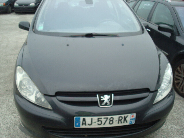 Peugeot 307 I Europa 2004 y parts